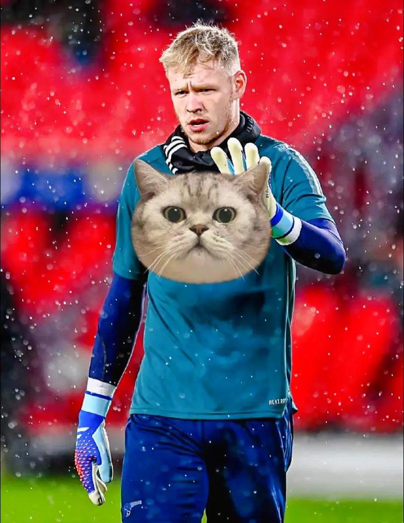 包含窗口期埃因霍温调整名单以备欧洲杯，单刀错失环节打磨，形势明朗，控场能力成焦点的词条